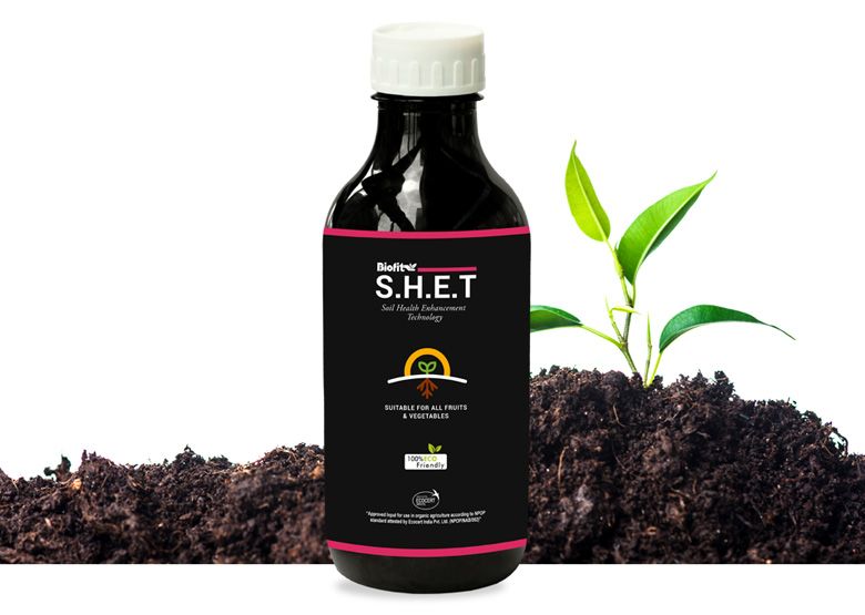S. H. E. T